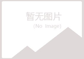 龙山县倾城水泥有限公司